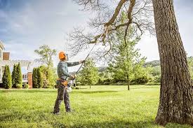 Best Commercial Tree Services  in Vallejo, CA