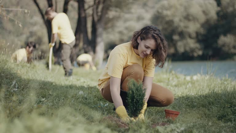 Best Tree Maintenance Programs  in Vallejo, CA